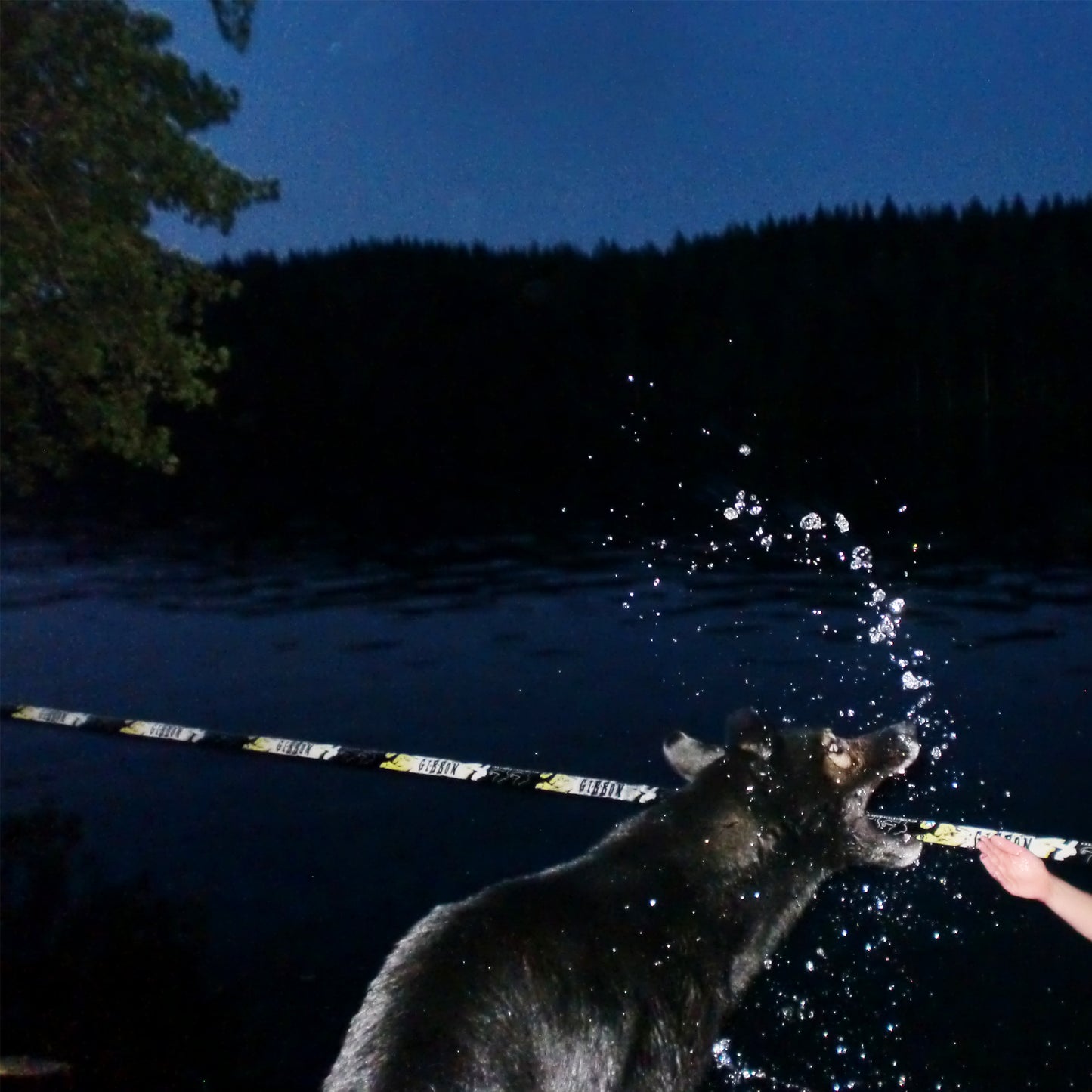 Bad Sauna - POTSLOJO (Limited Edition Blue Vinyl)